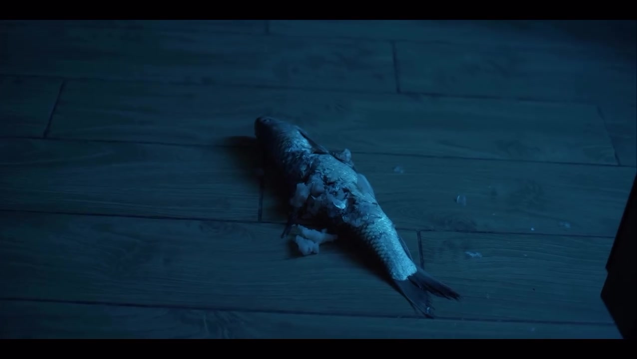 A dead fish on the bedroom floor, lit cold blue